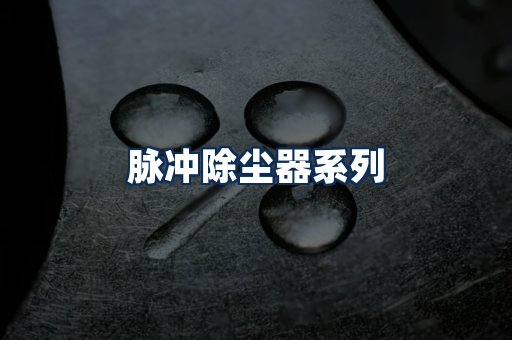 脉冲除尘器展示