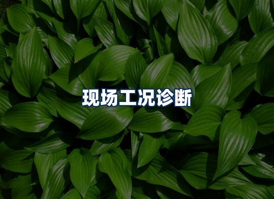 专业团队办公环境