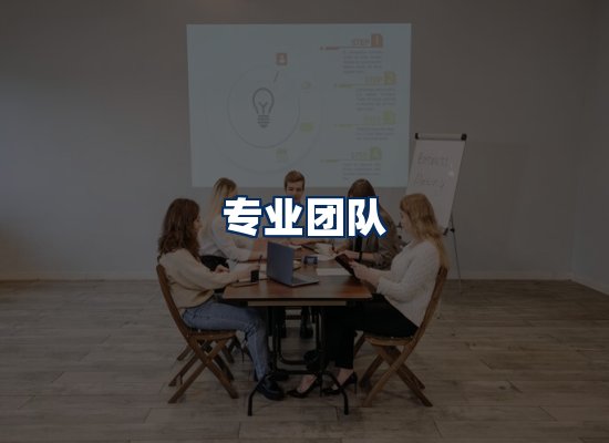 专业团队